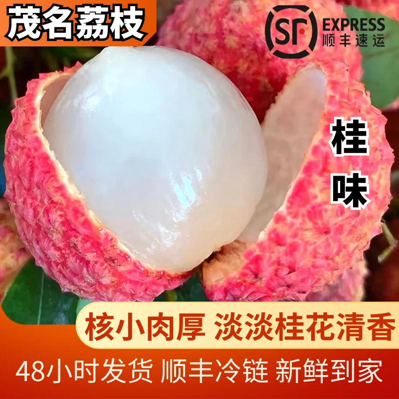 【爆品】茂名荔枝 桂味 5斤装 应季水果核小肉厚淡淡桂花香现摘现发