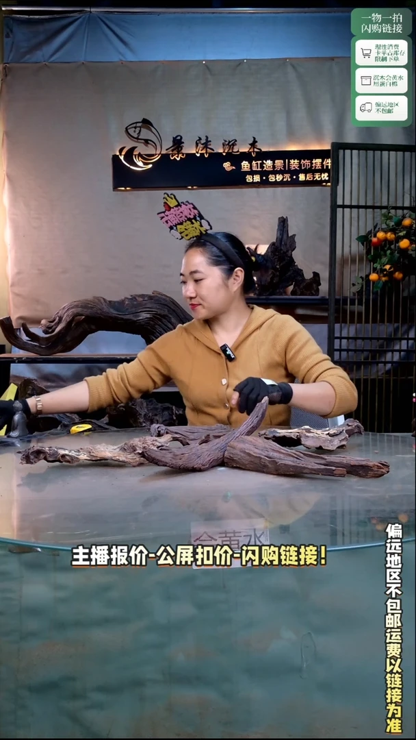 小*鱼景沐沉木B378