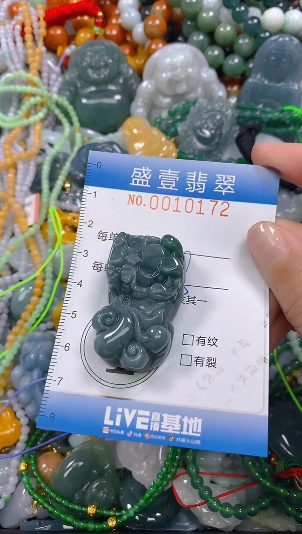 颈饰未镶嵌翡翠闪购0010172