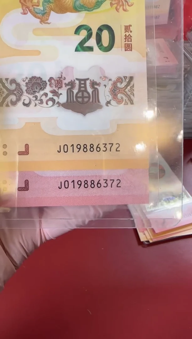 【闪购商品】塑料2025蛇钞啊啊啊啊啊全同号裸