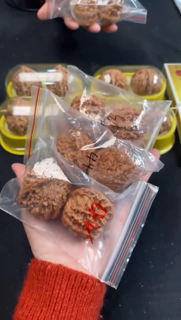 把件文玩核桃满天星随机发