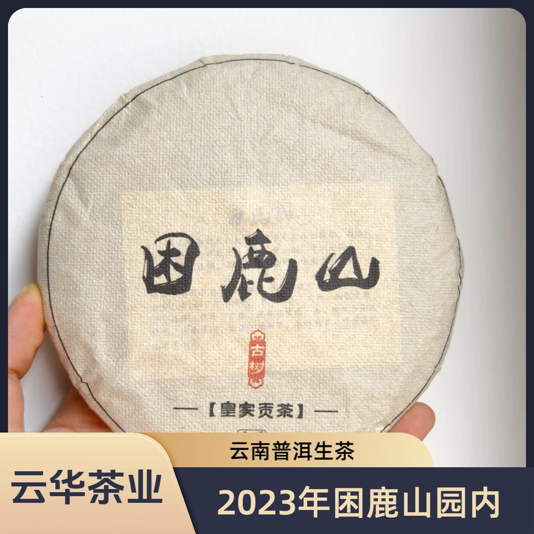 2023年困鹿山园内 大树头春 普洱生茶