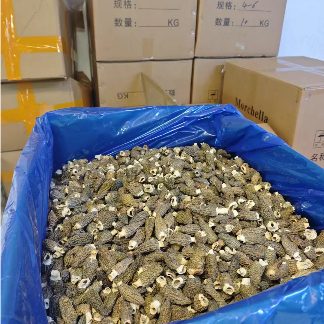 （海滋味）6-8公分头茬羊肚菌干货菌菇类肉厚饱满煲汤营养丰富