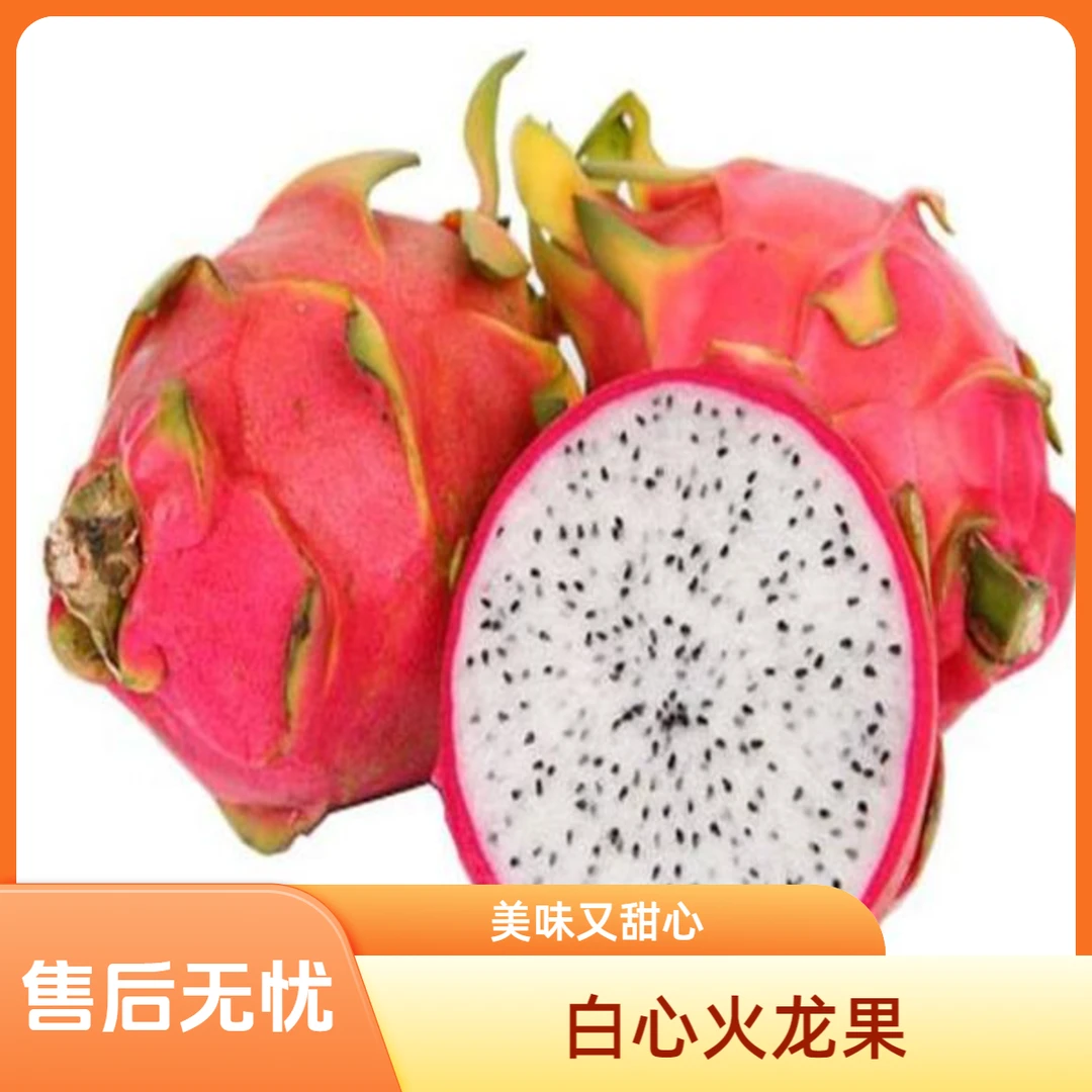 白心火龙果1000g/份