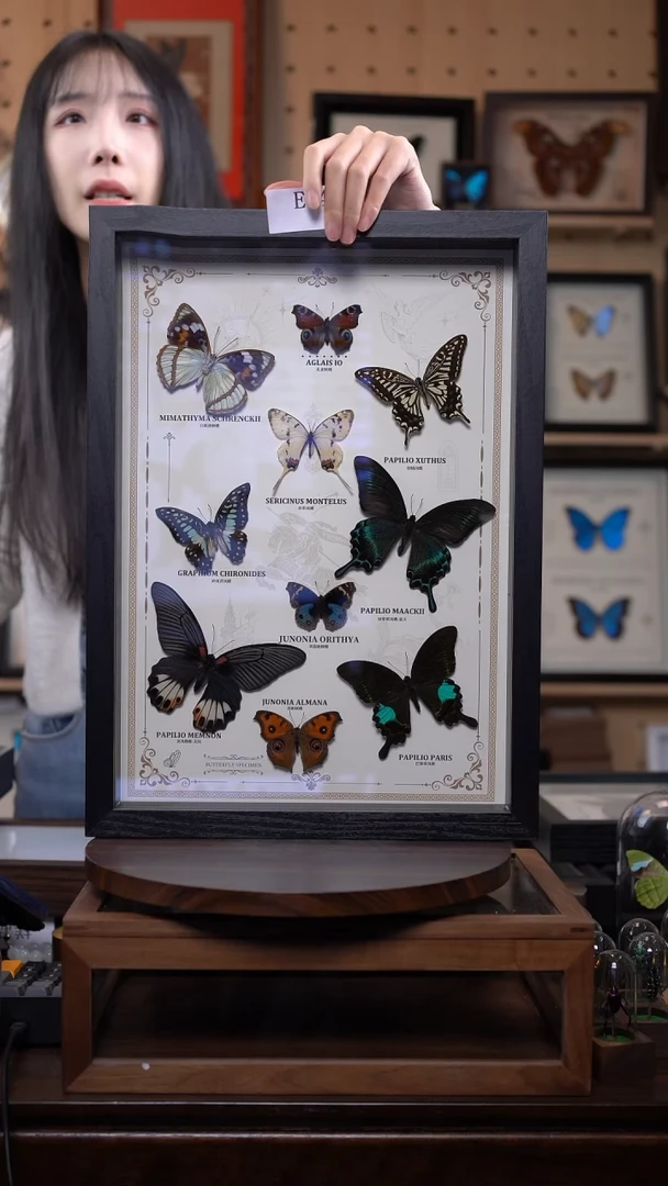 新品福利-凤蝶组合e148