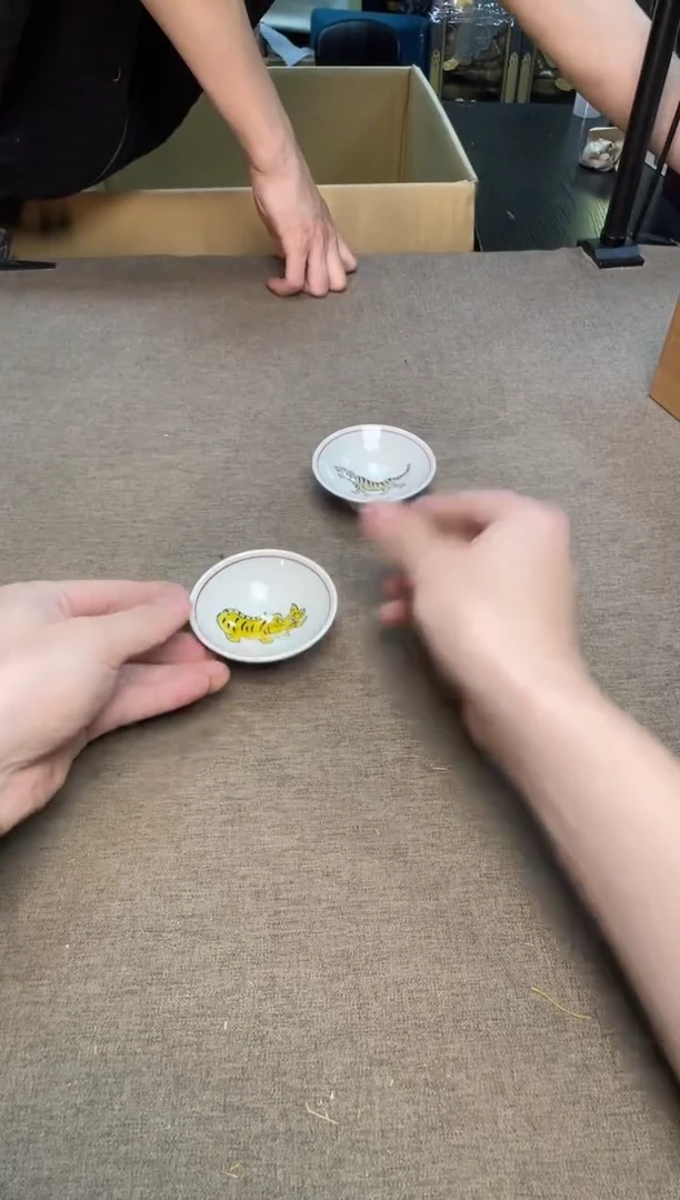 茶宠瓷器茶具套装