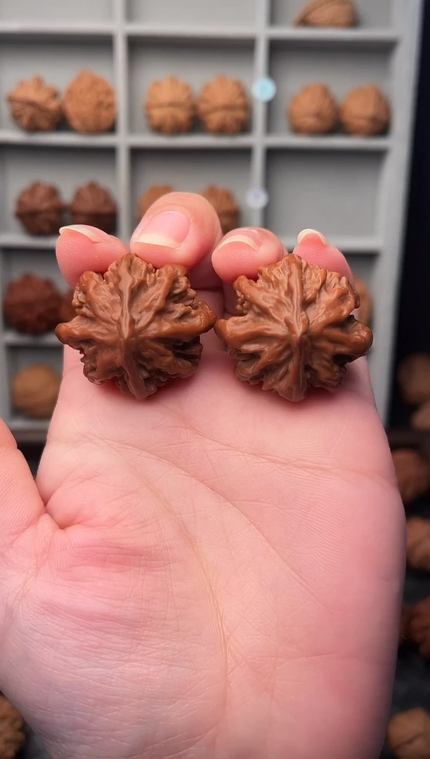 把件文玩核桃蝴蝶龙脊 八棱珊瑚王 北极星Z