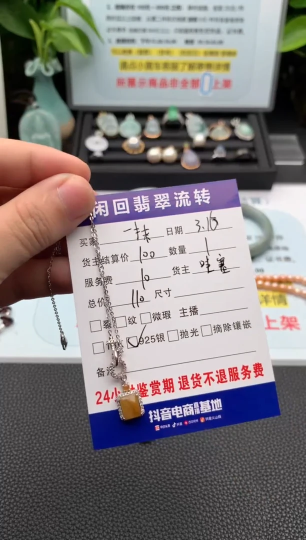 【闪购商品】翡翠银S925镶嵌颈饰项链