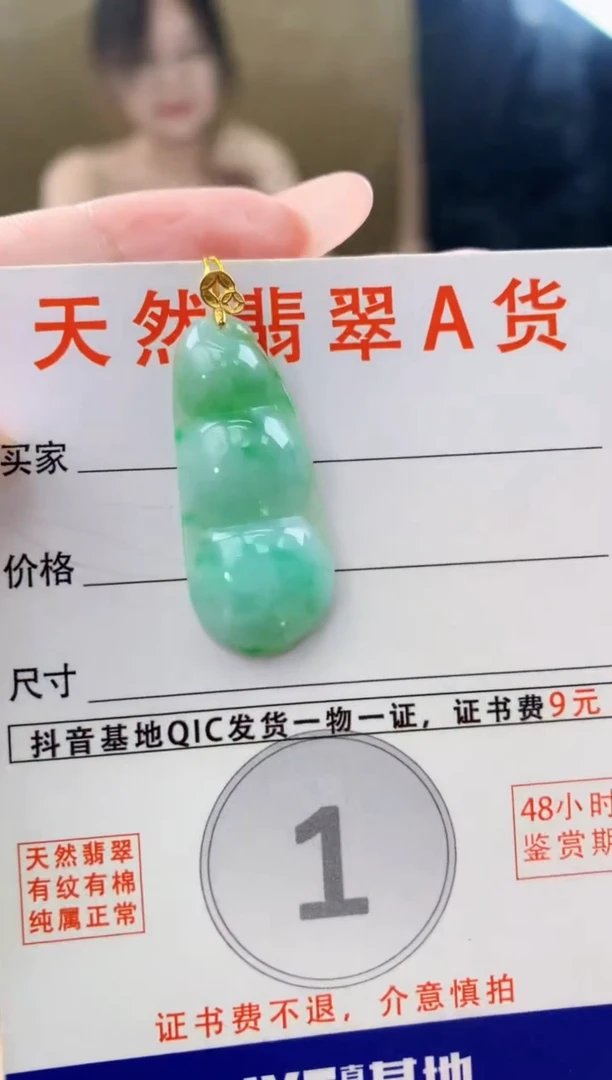 颈饰未镶嵌翡翠天然A货翡翠挂件