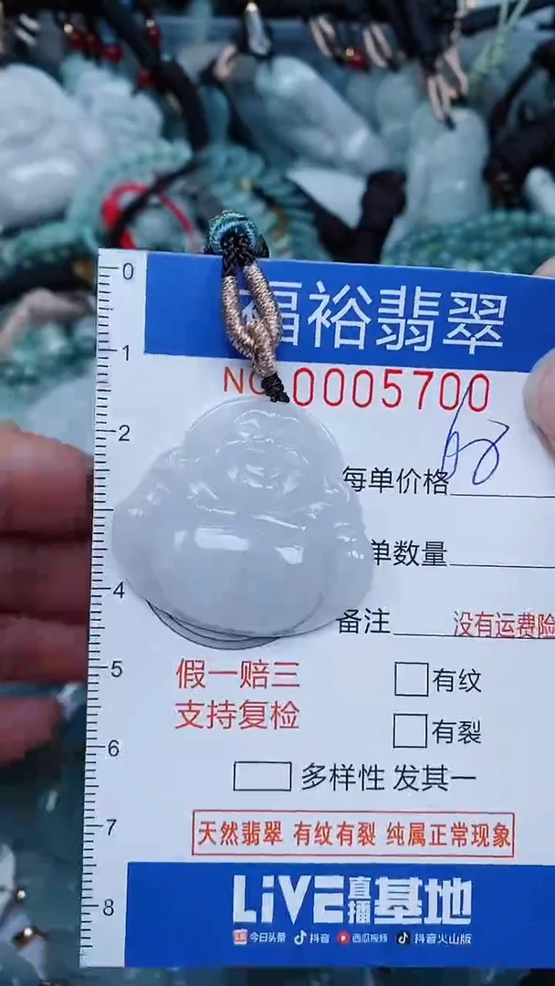 【闪购商品】翡翠颈饰未镶嵌...0005700