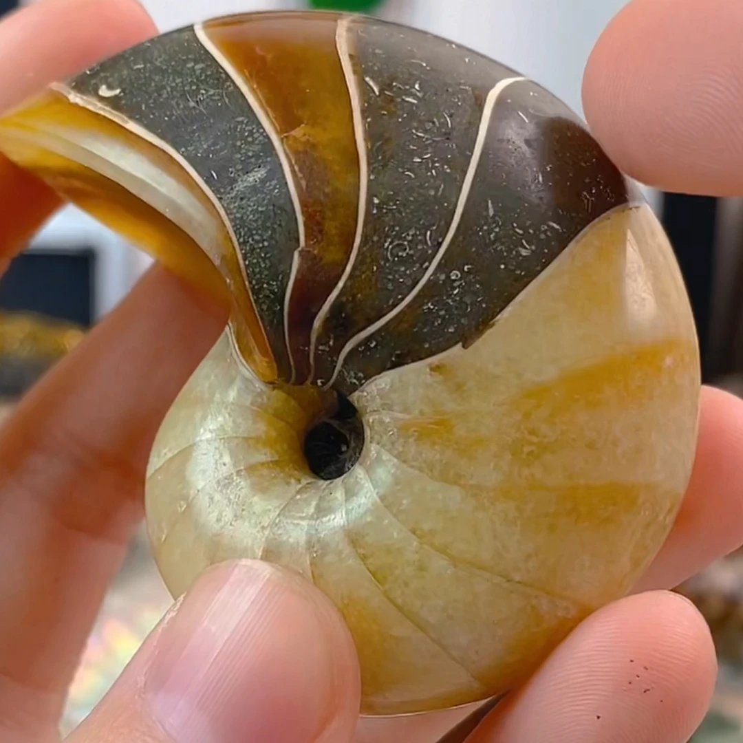 36|随心选各种各样创意礼物——家居摆件