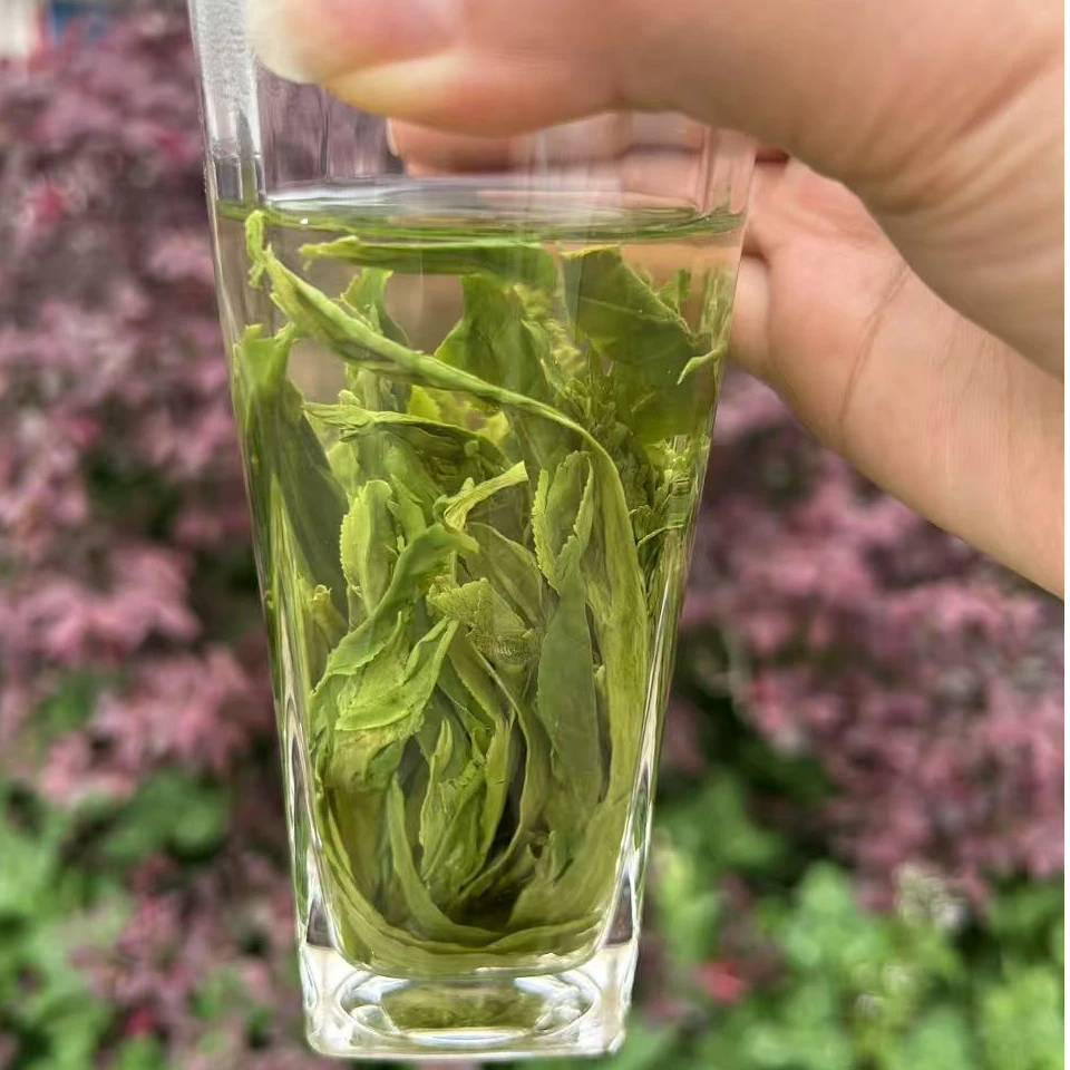 2025年新茶太平布尖