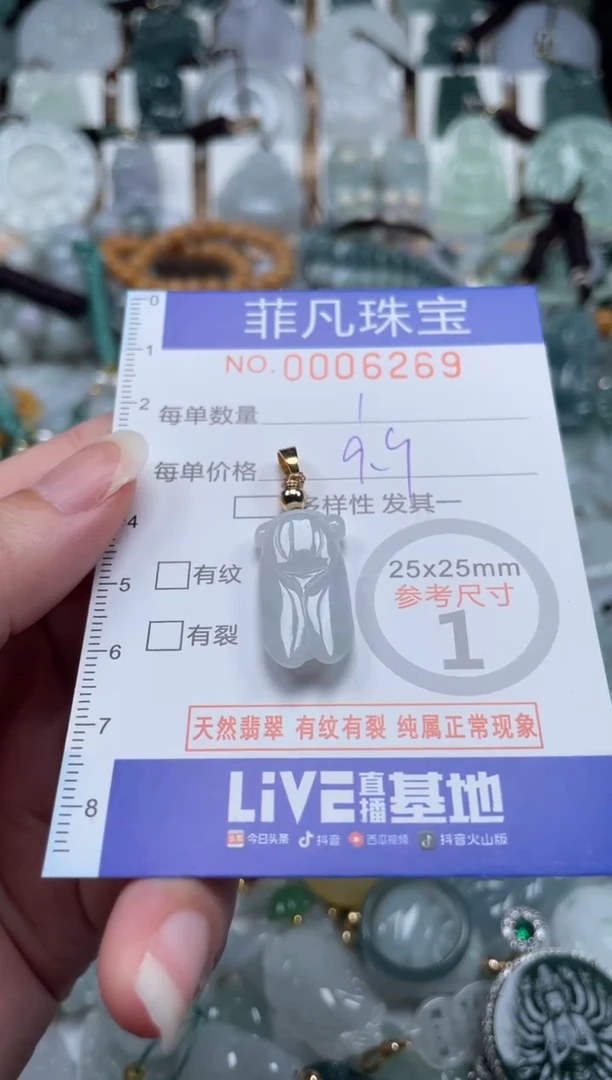 翡翠未镶嵌颈饰00..6269