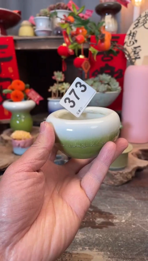 【闪购商品】摆件373知木小芳花盆