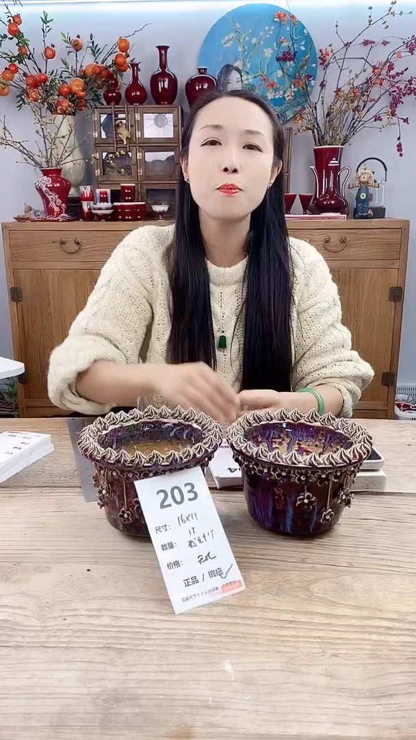 【闪购商品】红陶203