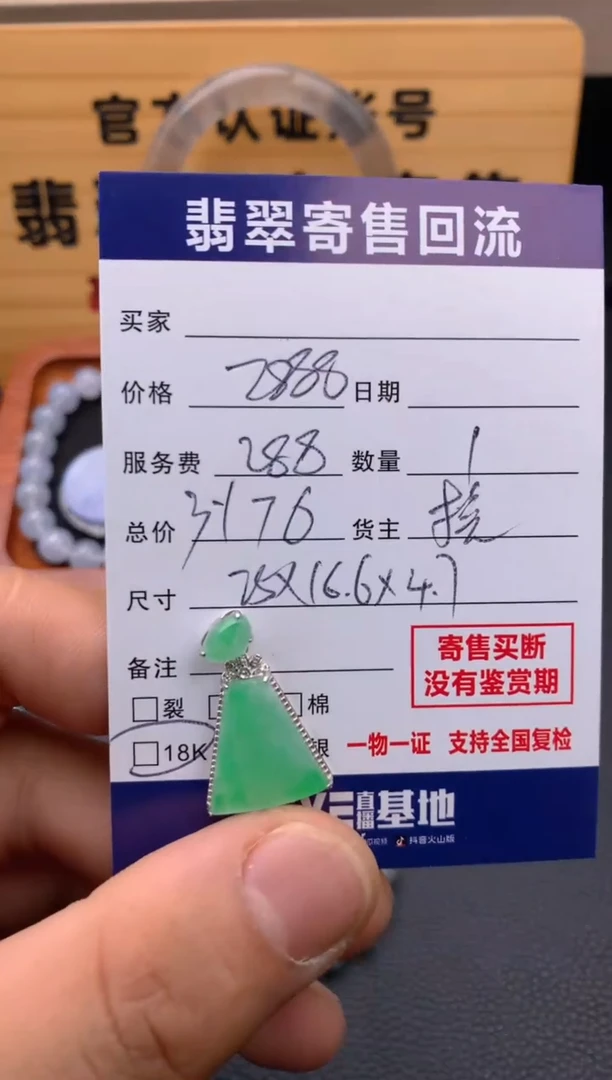 翡翠18K金镶嵌颈饰21014367