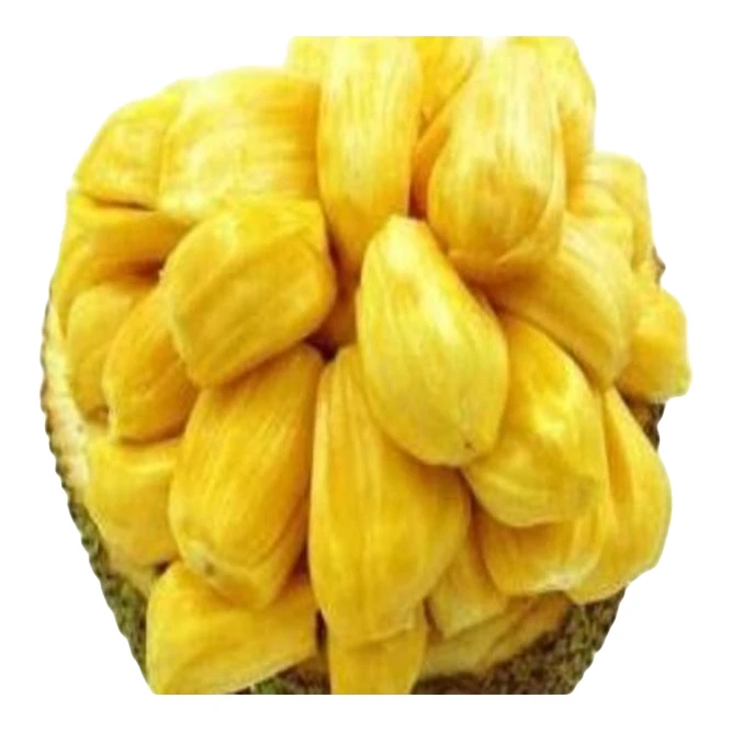 菠萝蜜39.9元一个