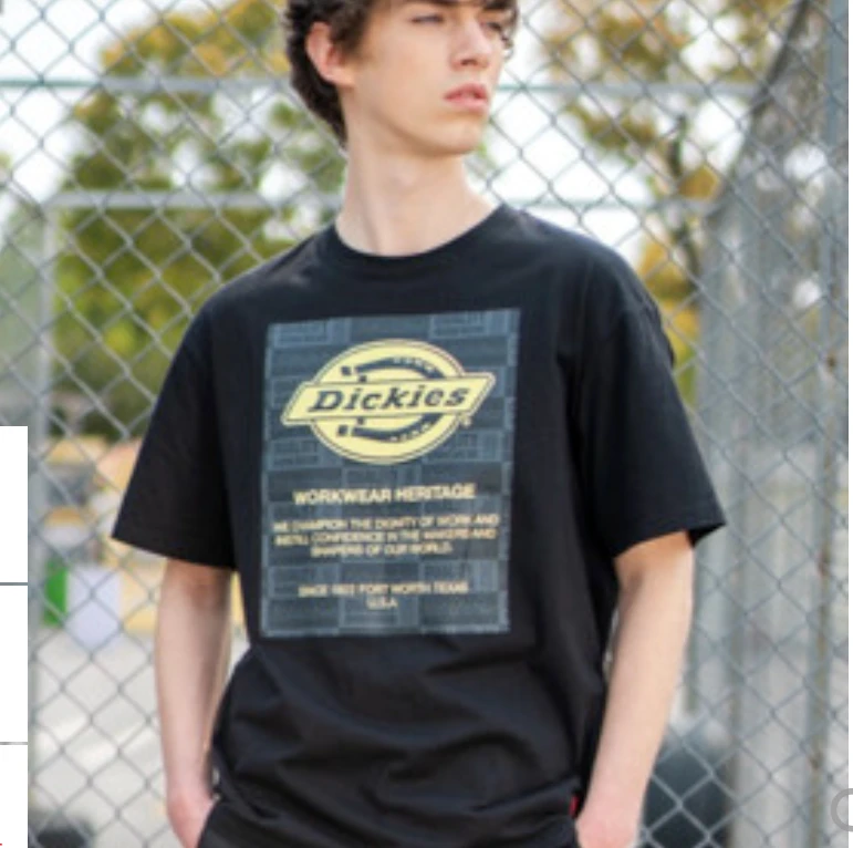 Dickies 男女士印花短袖T恤DK007350