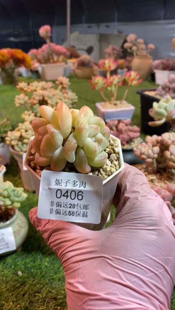 【闪购商品】0406a