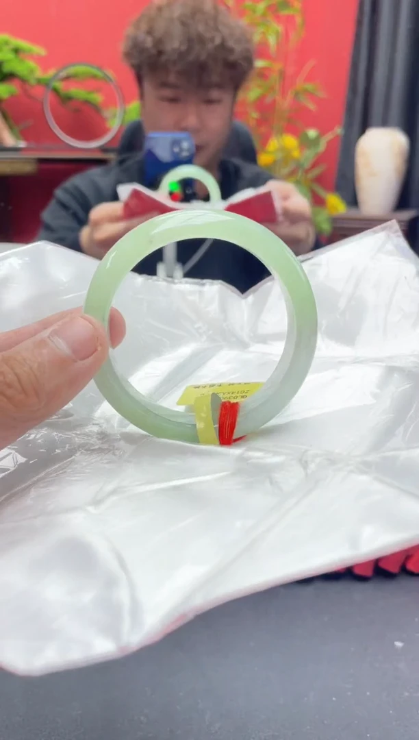 未镶嵌手镯翡翠2