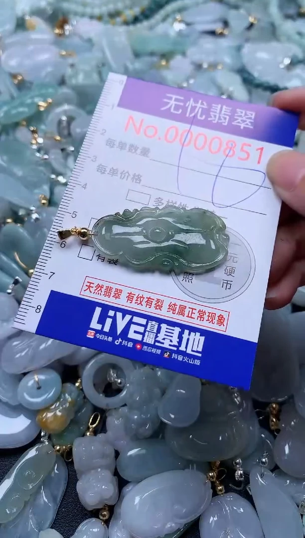 翡翠未镶嵌吊坠(不含链)851