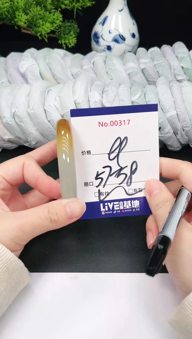 未镶嵌手镯翡翠317