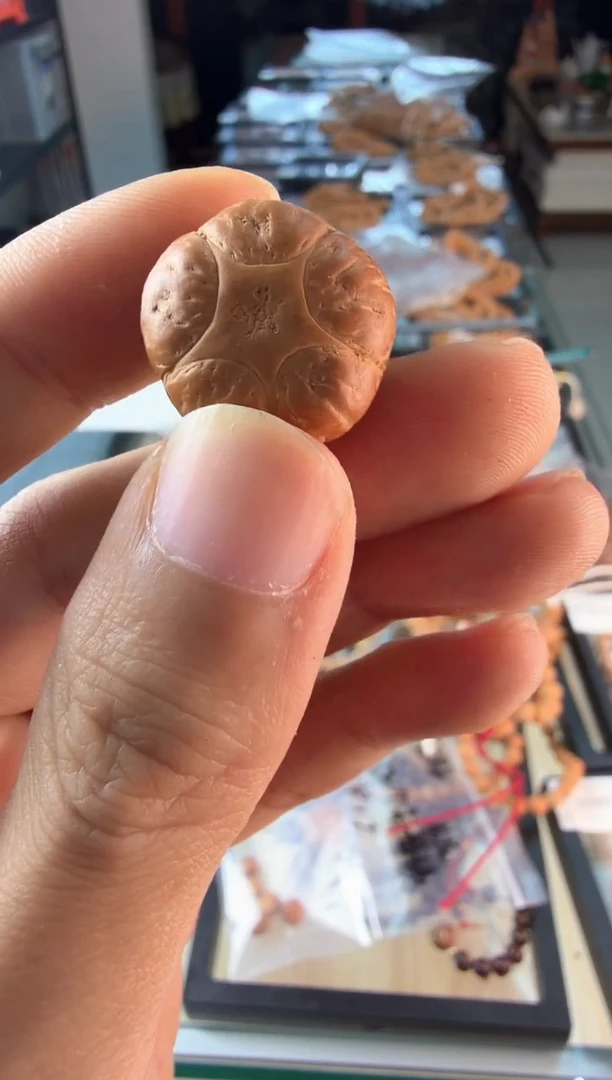 吊坠凤眼菩提3751 三通