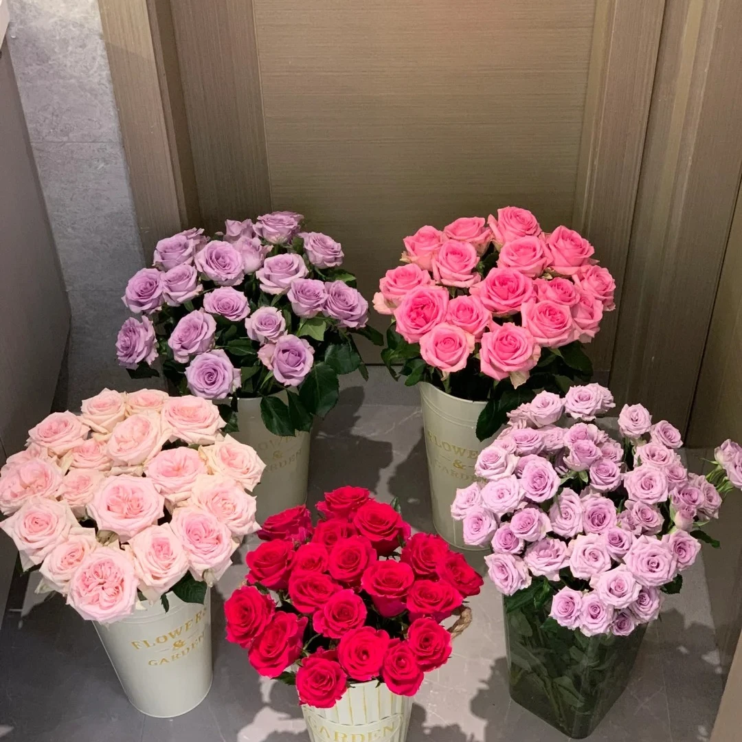 鲜花 高原红15支+5支防损 包邮