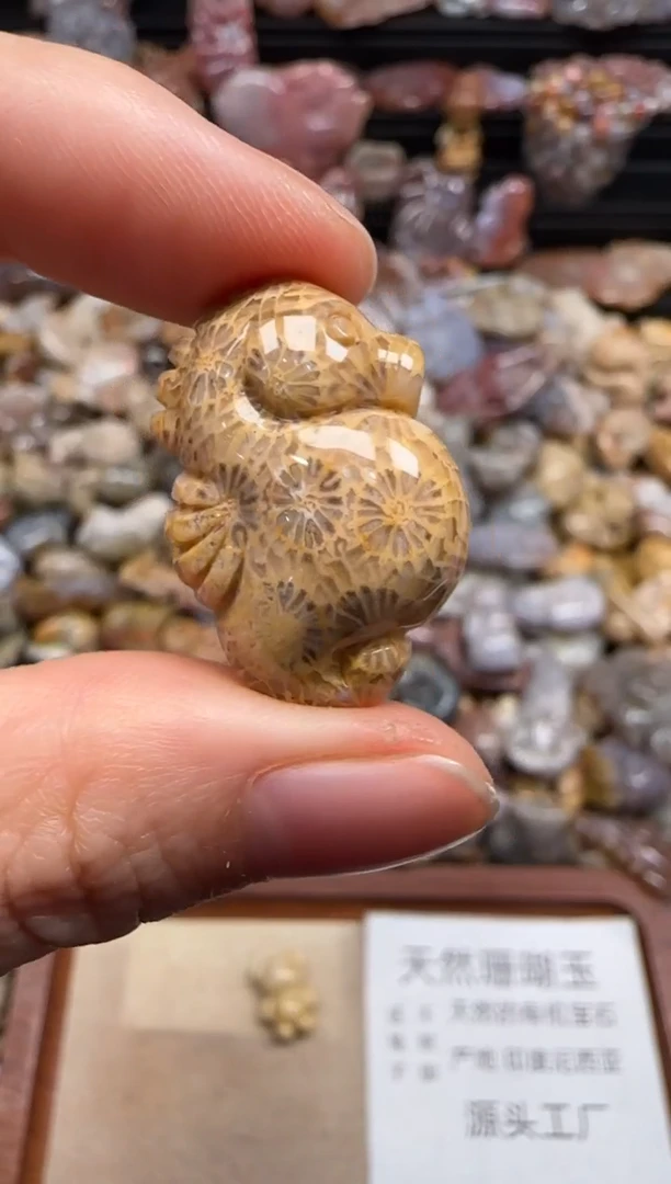 【闪购商品】硅化珊瑚（珊瑚玉）颈饰未镶嵌522