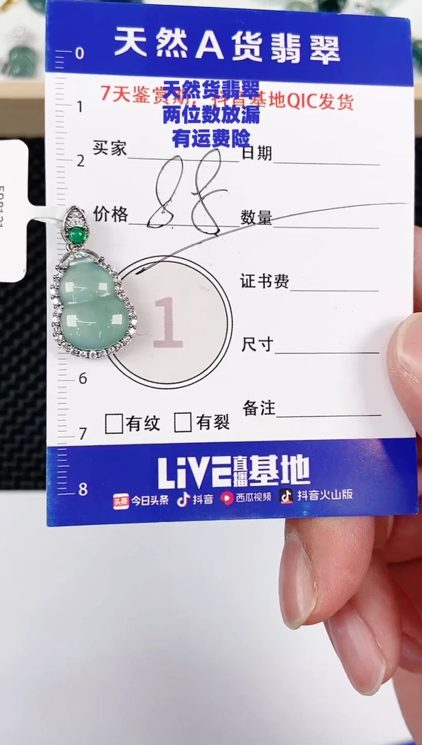 颈饰未镶嵌翡翠天然A货翡翠挂件
