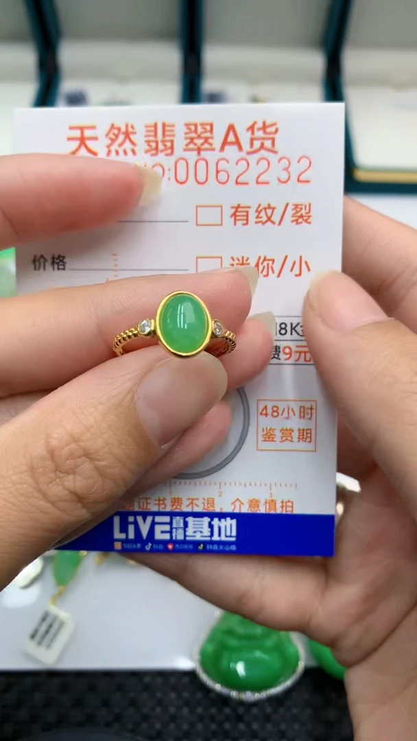 【闪购商品】翡翠颈饰银S925镶嵌            8