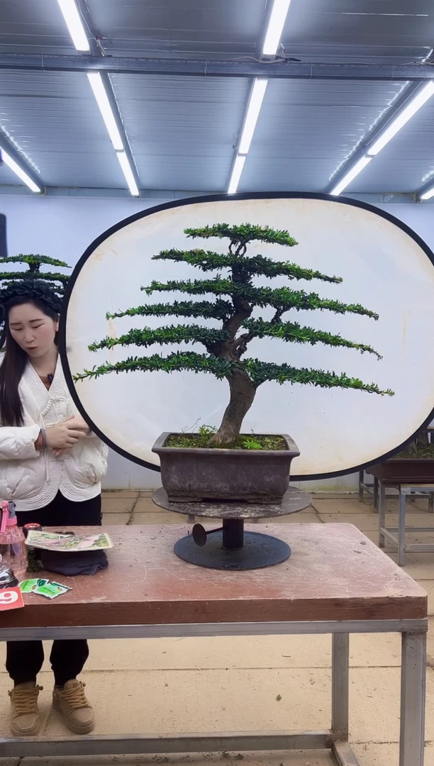 无花朵一物一拍，所见即所得