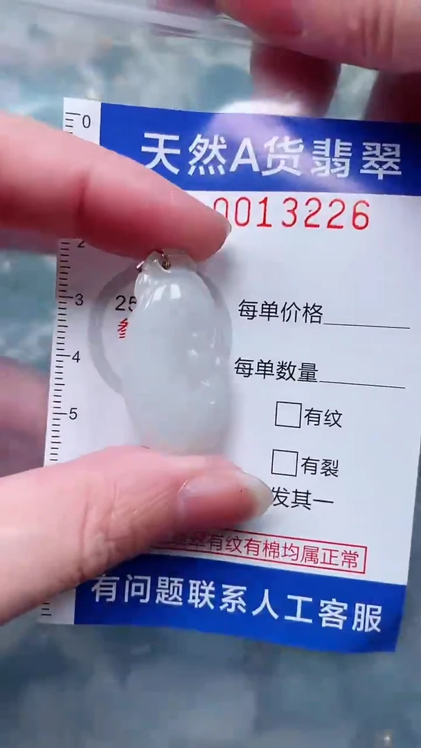 翡翠未镶嵌吊坠(赠链)1