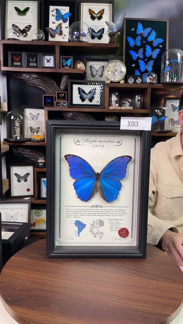 大蓝闪蝶-豪华版【A4欧式框】X93