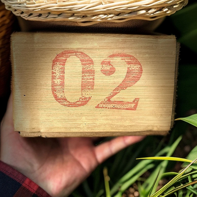 【晶晶严选】1997年 02茶砖（红汤） 500g 生茶