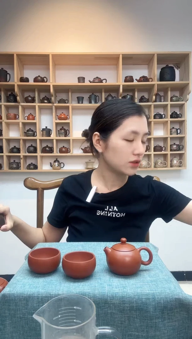 快**我 星月玩壶建水紫陶