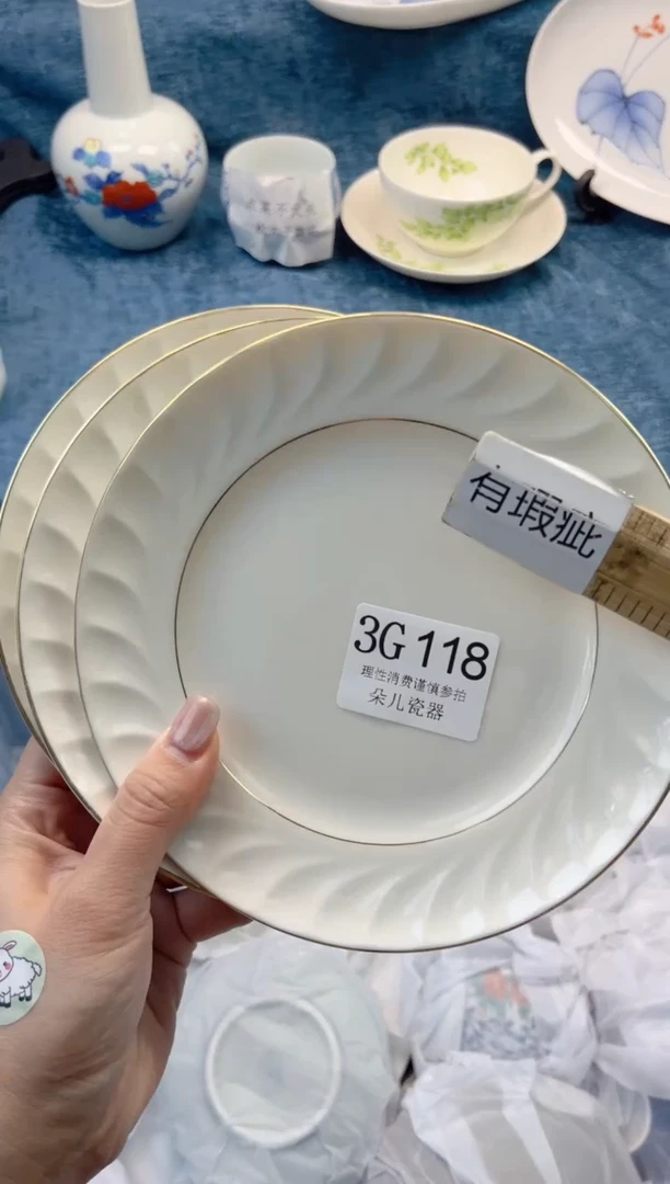 瓷片         3G118