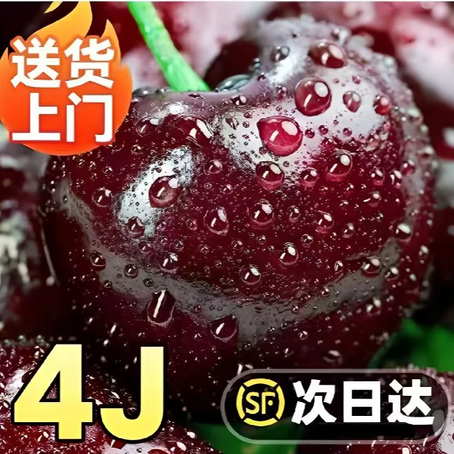 4JDD黑车【今天拍明天到】5斤原箱ZQ智利空运进口车厘子鲜水果水果孕妇水果内附果径卡3JD桑提娜樱桃智利共和国