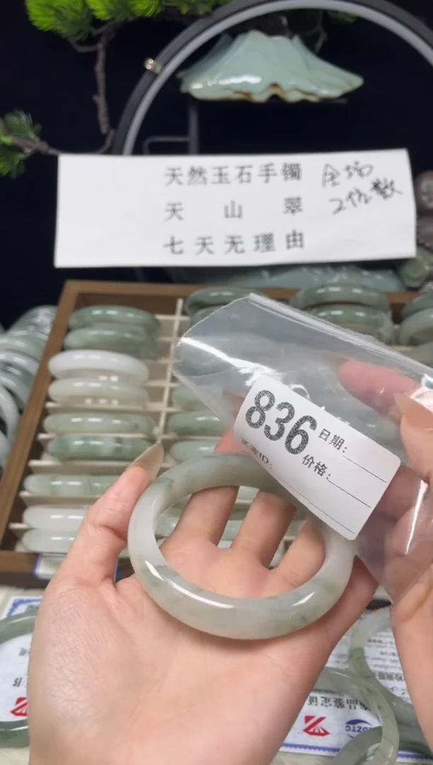 未镶嵌手镯石英质玉（天山翠）836