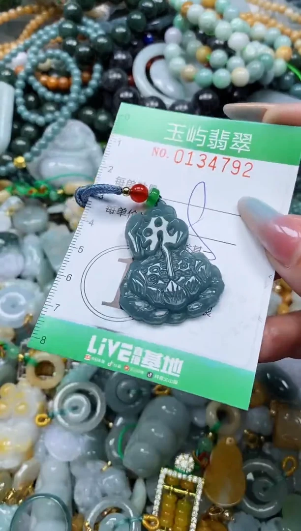 翡翠未镶嵌颈饰闪购0134792