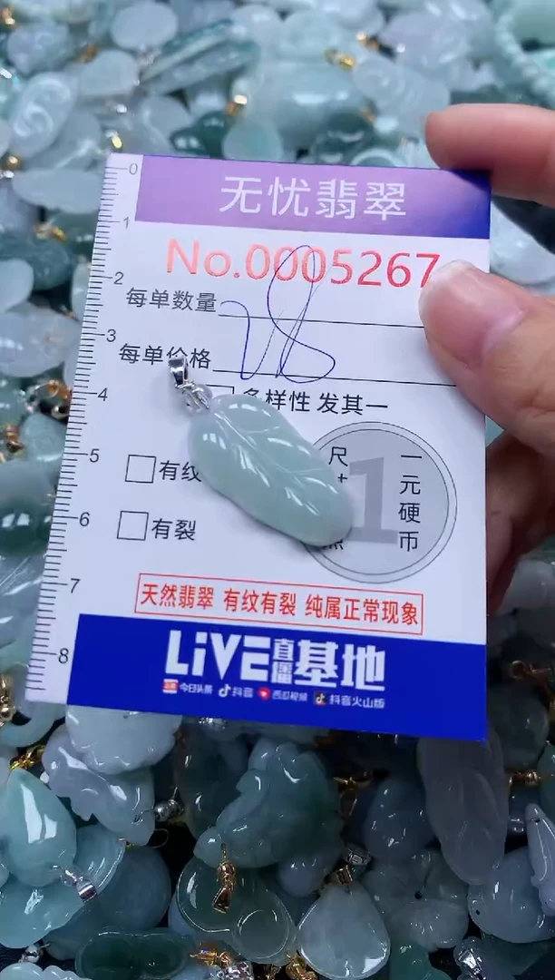 颈饰未镶嵌翡翠5267