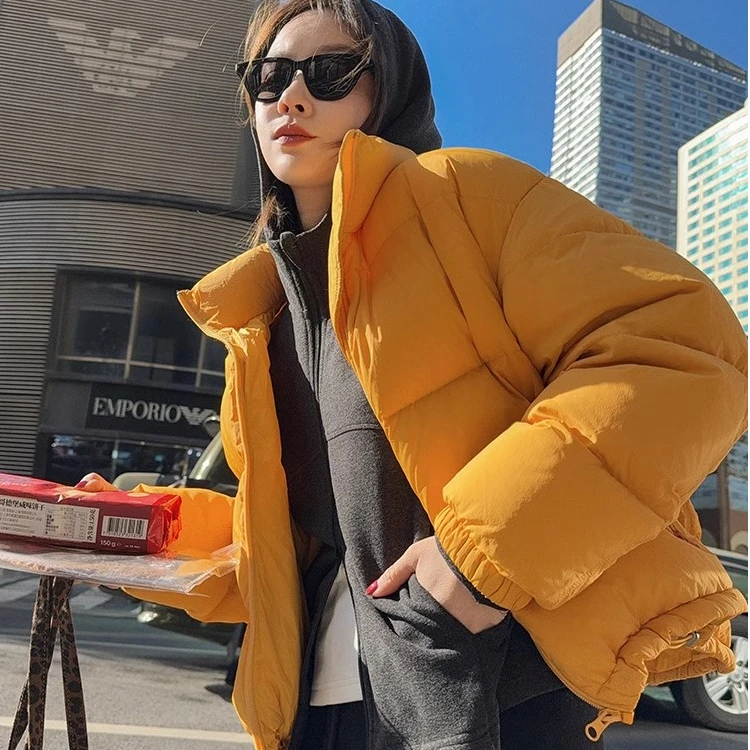 莉贝琳sisy黑标羽绒服实用好穿立领休闲短款保暖外套S24412DJ08