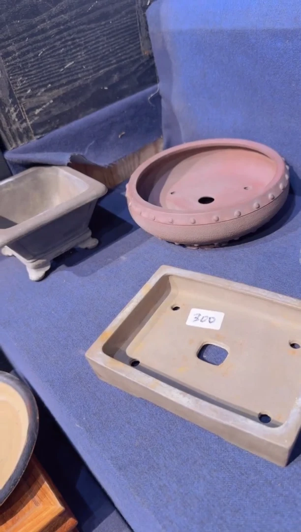 【闪购商品】红陶柴胜V67