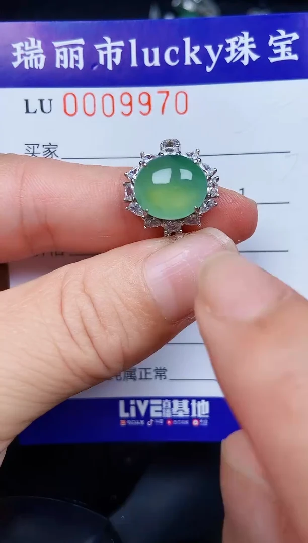 翡翠银S925镶嵌颈饰9970