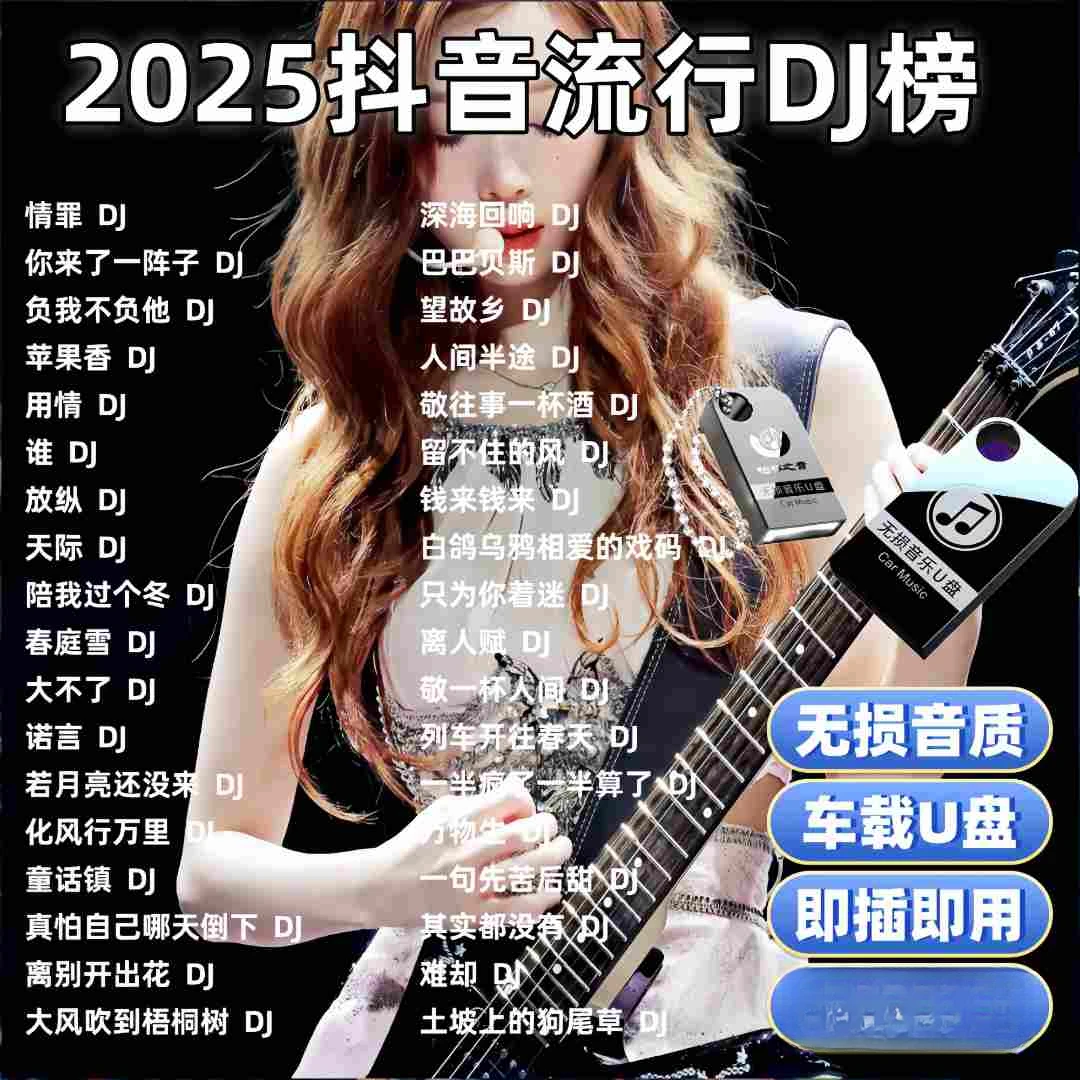 2025最新网络抖音流行dj音乐歌曲车载u盘劲爆dj嗨曲无损重低音dj
