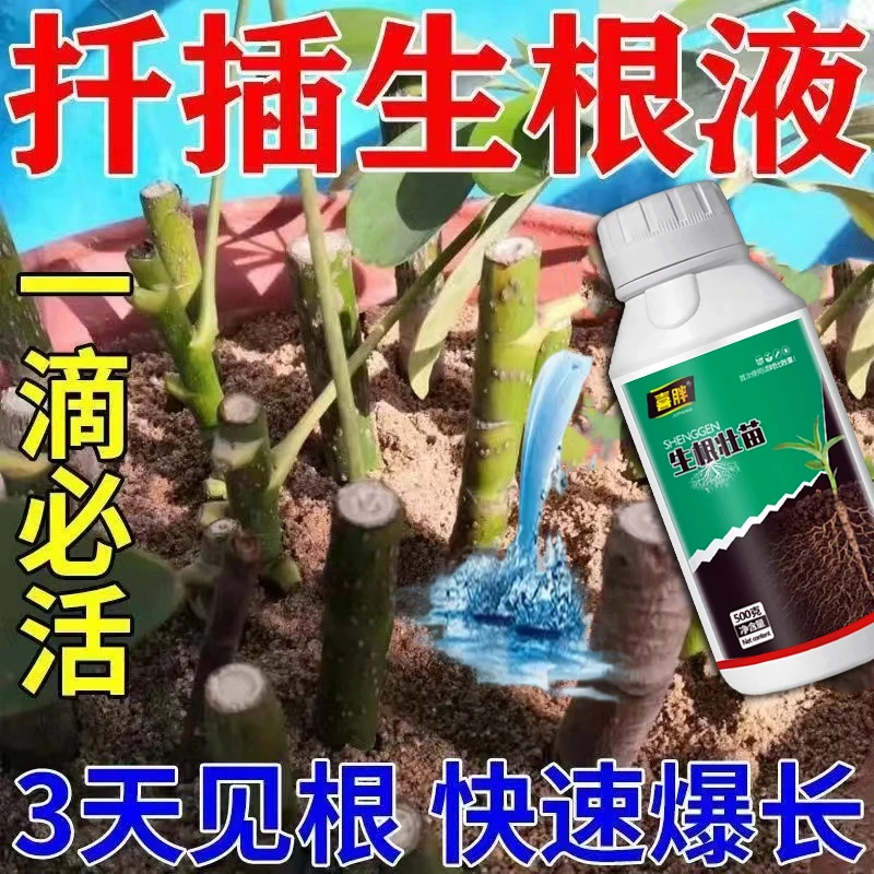 生根粉强力生根粉死苗烂根沤根植物通用果树移栽扦插生根剂营养肥