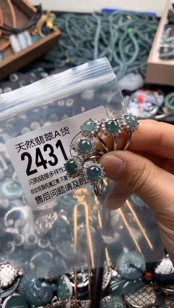 【闪购商品】翡翠颈饰未镶嵌多样性发其一2431