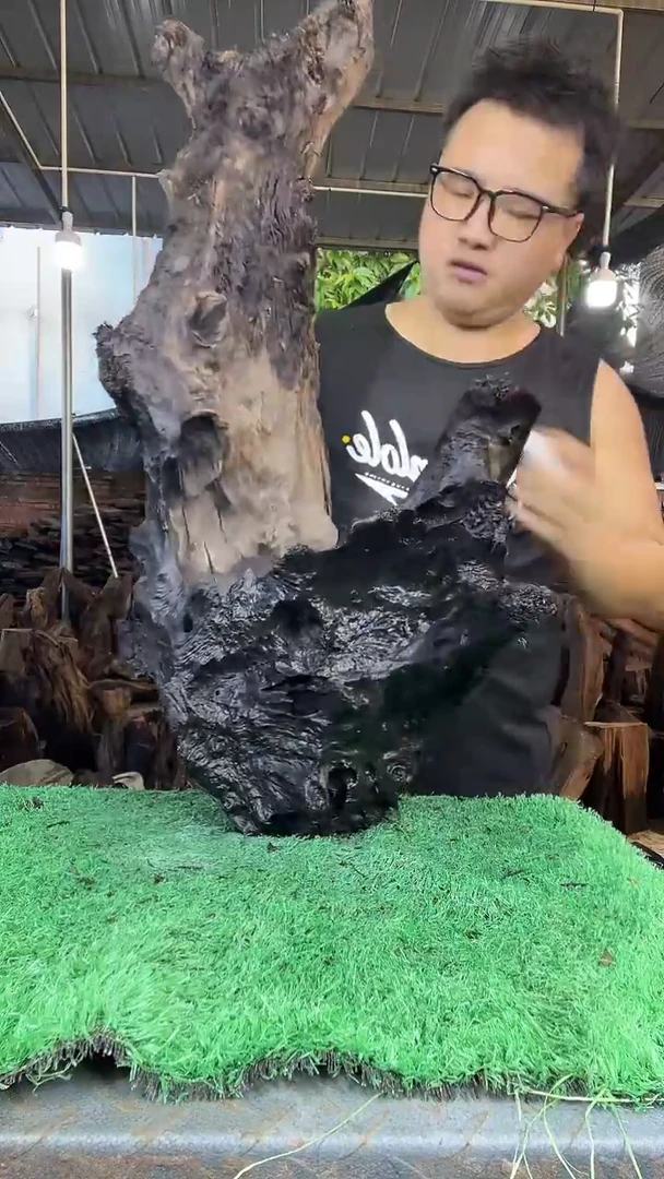 金丝楠小叶桢楠188