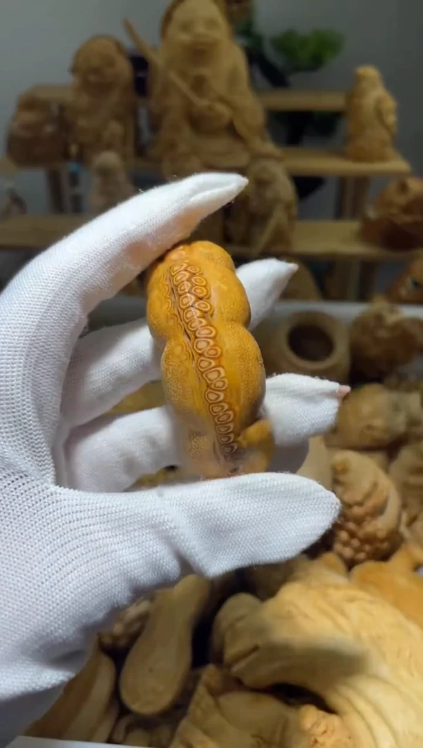 竹苗**苗爆笑虫子111111