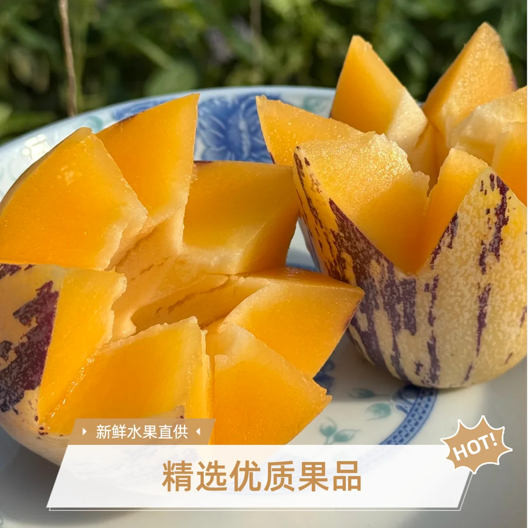MODX【甄选】甘肃民勤沙漠人参果带箱5斤  1